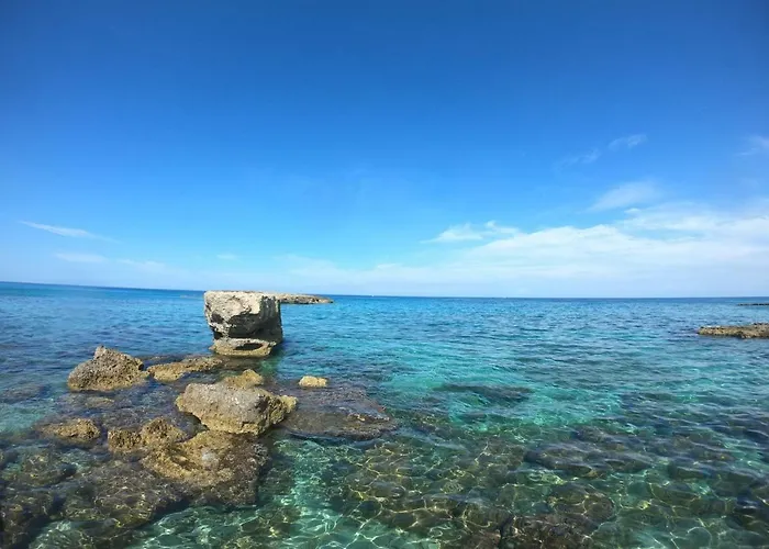 Apartahotel La Pineta